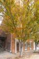 805 S Garden St - Photo 51