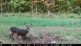 288 Trapp Rd - Photo 66