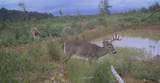 0 Sawdust Road - Photo 1