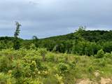 0 Sawdust Road - Photo 16