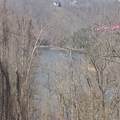 2790 Johnson Chapel Rd - Photo 6