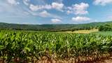 0 Oris Sain Road - Photo 1