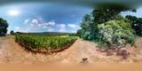 0 Oris Sain Road - Photo 16