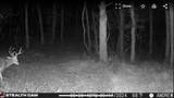 0 Straight Creek Rd - Photo 22