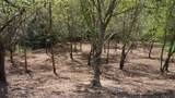 301 Highbridge Dr - Photo 4