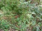 0 Sugar Ridge - Photo 29