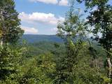 2352 Byrds Chapel Road - Photo 9