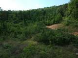 2352 Byrds Chapel Road - Photo 10