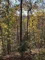1 Cane Creek Road - Photo 7