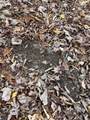 1 Cane Creek Road - Photo 10