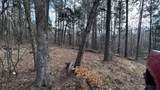 0 Firetower Rd - Photo 9