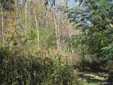 2947 Highway 13 - Photo 11