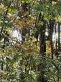 0 Reece Hollow Rd - Photo 8
