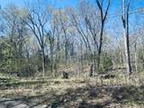 0 Iron Horse Trail - Photo 3