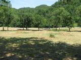 7412 River Road Pike - Photo 13
