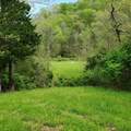 7412 River Road Pike - Photo 17