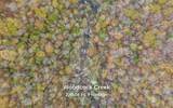 3868 Hobbstown Road - Photo 12