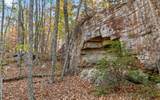 3868 Hobbstown Road - Photo 53