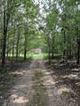 250 Chipman Rd - Photo 4