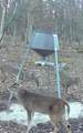 488 Lower Halls Mill Road - Photo 52