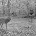 488 Lower Halls Mill Road - Photo 53
