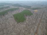 0 Hohenwald Hwy - Photo 16