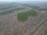 0 Hohenwald Hwy - Photo 18