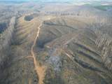 0 Hohenwald Hwy - Photo 25