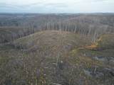 0 Hohenwald Hwy - Photo 35