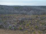 0 Hohenwald Hwy - Photo 40