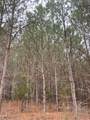 0 Hohenwald Hwy - Photo 54