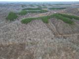 0 Hohenwald Hwy - Photo 66