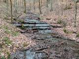 0 Hohenwald Hwy - Photo 76