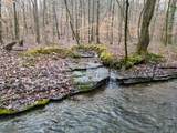 0 Hohenwald Hwy - Photo 86