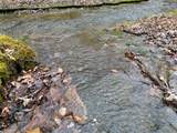 0 Hohenwald Hwy - Photo 10