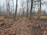 0 Paul Harrell Rd - Photo 3