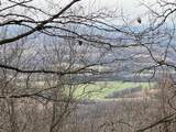 0 Claiborne View Rd - Photo 13