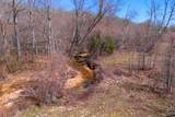 134 Cane Creek Rd - Photo 48
