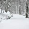 354 Mountain Farm Rd - Photo 74