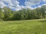 137 Shelton Cemetery Rd - Photo 7