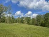 137 Shelton Cemetery Rd - Photo 8