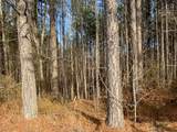 0 Bear Hollow Drive - Photo 14