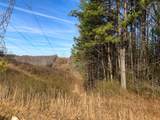 0 Bear Hollow Drive - Photo 14