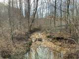 0 Bear Hollow Drive - Photo 17