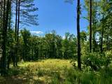 0 Bear Hollow Drive - Photo 3