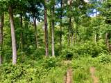 0 Bear Hollow Drive - Photo 25