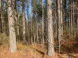 0 Bear Hollow Drive - Photo 28