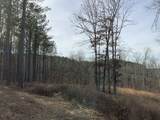 0 Bear Hollow Drive - Photo 29