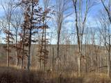 0 Bear Hollow Drive - Photo 10