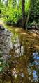 5199 Burkett Chapel Rd - Photo 3